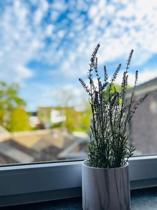Charmant Petit Appartement. Lutych Exteriér fotografie