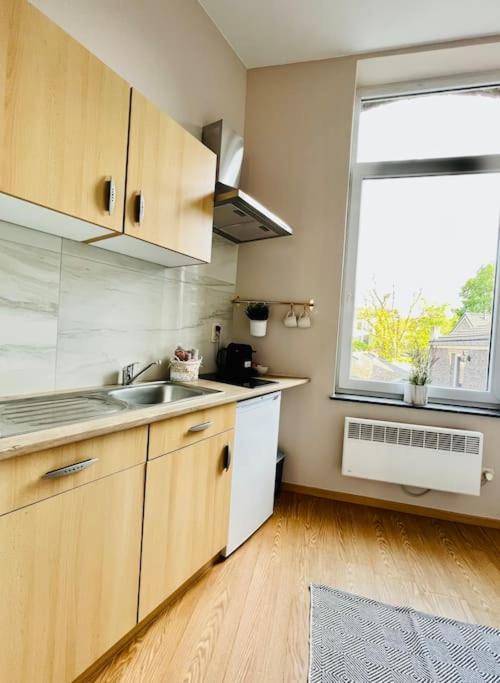 Charmant Petit Appartement. Lutych Exteriér fotografie