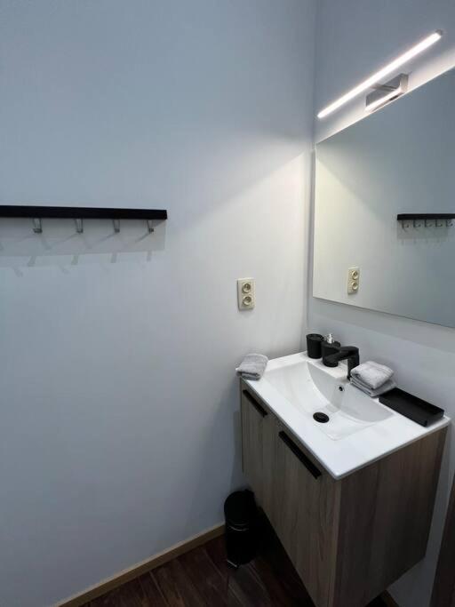 Charmant Petit Appartement. Lutych Exteriér fotografie