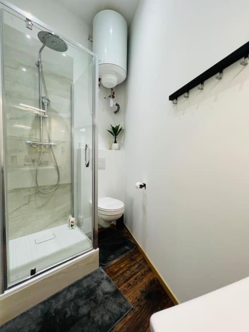 Charmant Petit Appartement. Lutych Exteriér fotografie