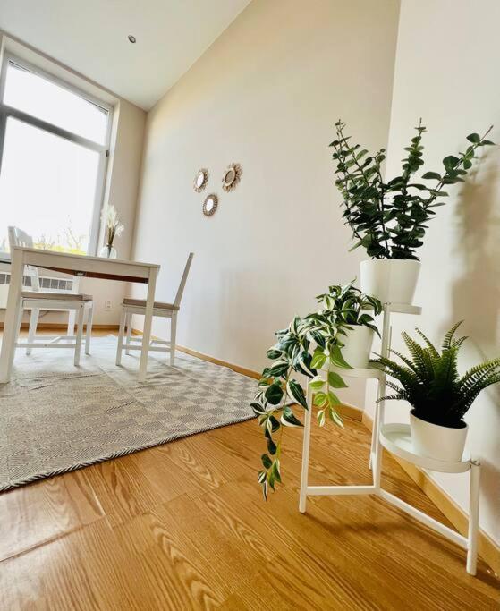 Charmant Petit Appartement. Lutych Exteriér fotografie