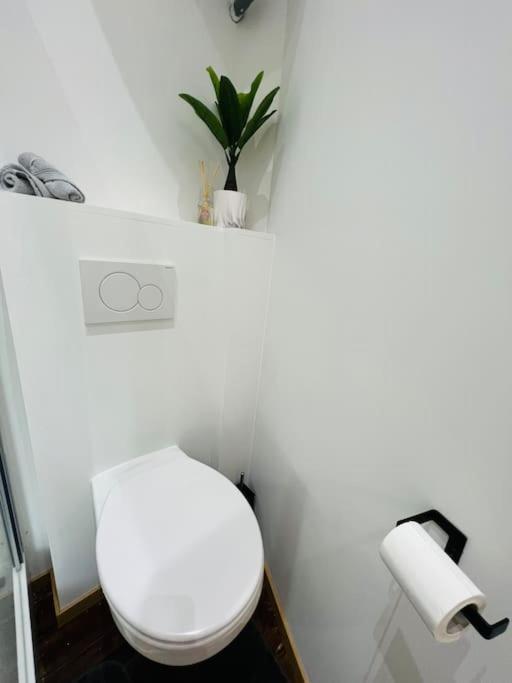 Charmant Petit Appartement. Lutych Exteriér fotografie
